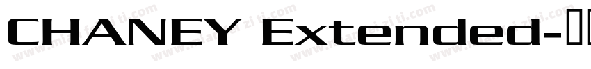 CHANEY Extended字体转换